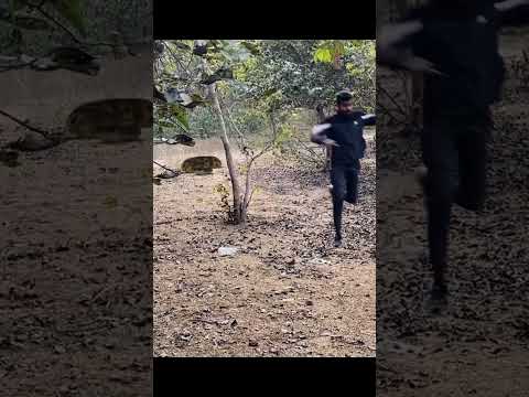 Big snake chase #shorts