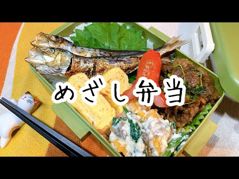 ぽちゃ妻の弁当作り#77「めざし」弁当