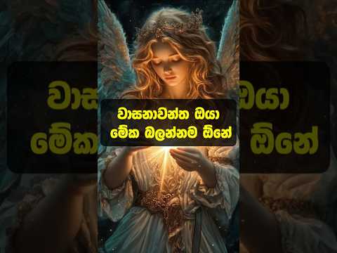 11:11 විශ්ව මාතාවගෙන් ආශිර්වාදයක්❤ #shorts #lagna #lagnapalapala #youtubeshorts