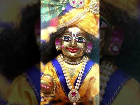 JOY GOPAL 🙏🙏🙏#hareramaharekrishna #krishnamahamantra #krishanmantra #krishna #krishnamahamantra