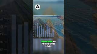 Disaster Averted: AI & Robotics Will Solve the Global Debt Crisis