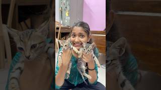 Naye mehmaan ♥️ | Cat rescue 😱 | #shorts #minivlog #cat