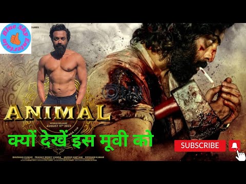 क्यों देखें इस मूवी को ? #Animal movie review #bollywood #dialogue #review