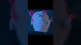 The cat world conundrum:how to catch the red dot #thesecretlifeofpets2 #shorts #movie