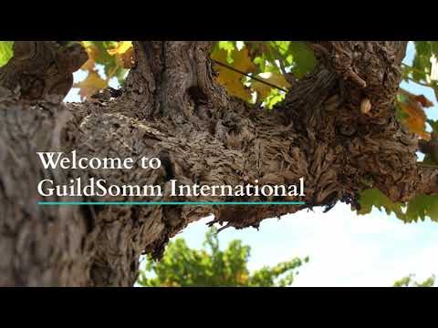 Welcome to GuildSomm International