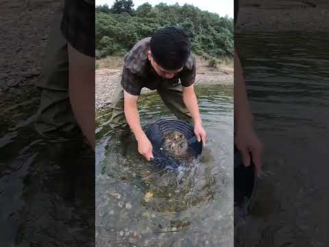 A Hidden Treasure River Filled With GOLD! #gold #goldhunting #goldprospecting