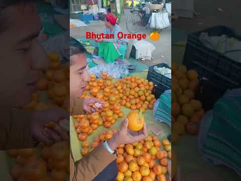 Bhutan Orange 🍊 #orange #orangejuice #orangegarden #trendingshorts #trendingvideo #trending #shorts