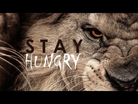 Stay Hungry for Success | Crush Your Limits | Feed Your Mind | Fuel Your Growth | Stay Focused NOW |
