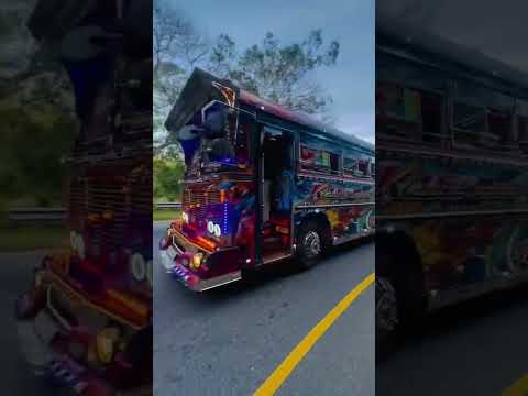 බස් කලාවේ ගිනි කිරිල්ලී 😍💖 ෆයර් ගර්ල් K.line tours 💞