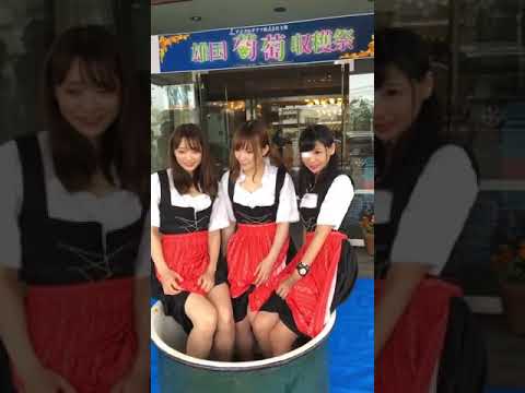 「雄国葡萄収穫祭」秋葉原メイドカフェキャストさんの葡萄踏み　2