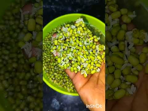 healthy breakfast pesarattu #breakfastrecipe #dinnerrecipe #insantrecipie#food #cooking #pesarattu