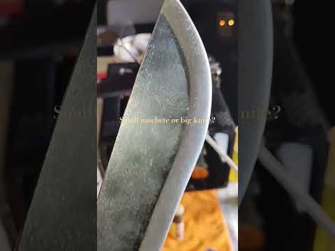Condor Jungolo in hand