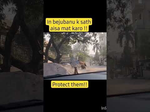 protect animal#animals #youtubeshorts #animalfacts