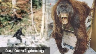 The Bigfoot-Gigantopithecus Theory