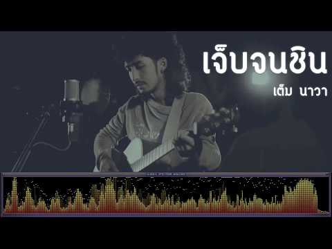เจ็บจนชิน - เต็ม นาวา [เพลงใต้]
