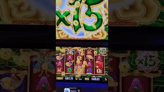OMG! MASSIVE WIN On 5 Dragons Gold Slot Machine #shorts