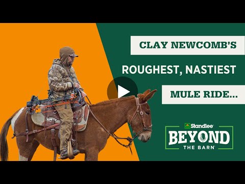 Clay Newcomb Talks About His Roughest, Nastiest Mule Ride with the Legendary Warner Glenn