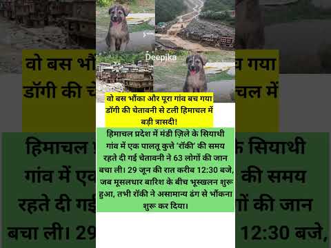 उस कुत्ते के भौंकने से बच गया पूरा गांव । #youtubeshorts #ytshorts #shorts #shortsviral #floods