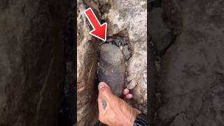 Gold Mining #facts #tamil #shorts #goldmining #trending #reels