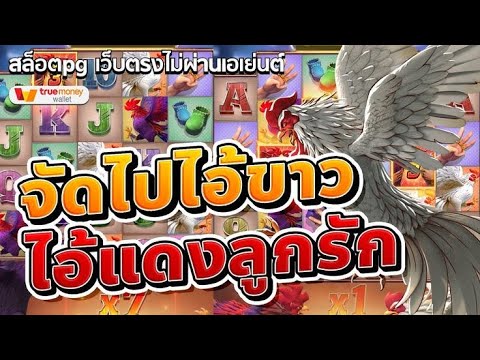 สล็อตแตกง่าย เว็บตรงสล็อต สล็อต pg สมัครสล็อตpg สล็อตวอเลทเว็บตรง รีวิวเกม ไก่ชน Rooster Rumble