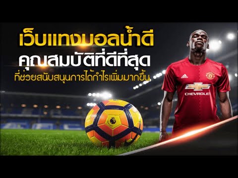 เว็บแทงบอลดีๆ เว็บแทงบอลสเต็ป ออนไลน์ เว็บแทงบอลที่ดีที่สุด เว็บแทงบอล วอเลท : ค่าน้ำดี