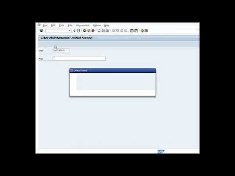 How to delete user in sap