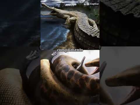 sarcosuchus hartii vs titanoboa