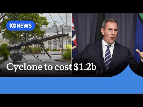 Ex-Tropical Cyclone Alfred leaves government with $1.2b clean-up bill | ABC NEWS