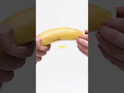 Untold Facts Revealed! #interesting #facts #shorts