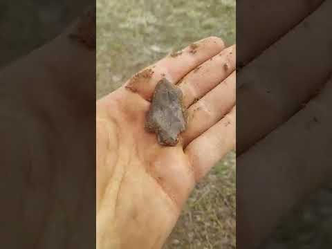 Unexpected #arrowhead