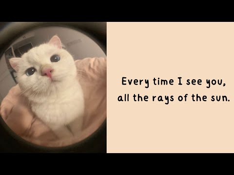 Playlist 15 - Every time I see you, all the rays of the sun.