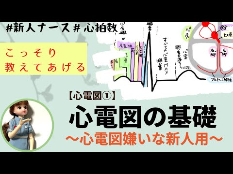 【心電図読み方①】新人ナースよく聞くんだ！基本の無視はダメ#心拍数#正常値#刺激伝導系