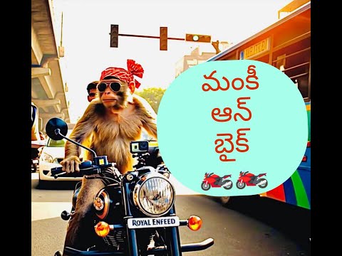 Monkey on Enfield Viral Moment from warangal