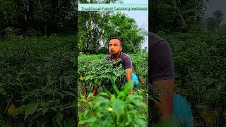 Traditional Parrot Catching Methods #wildlife #diy #survival #shorts #trap #funny #birds #comedy