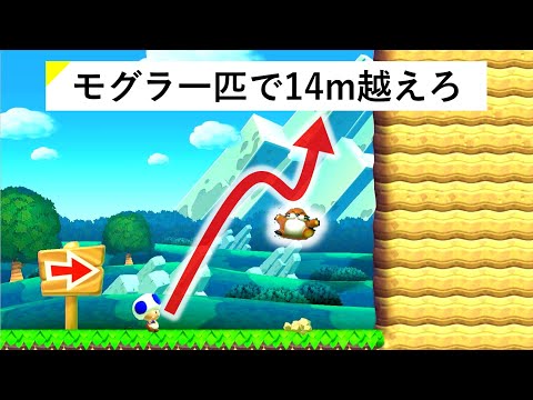 【マリオメーカー２】モグラ一匹で14ｍの壁を越えるステージ