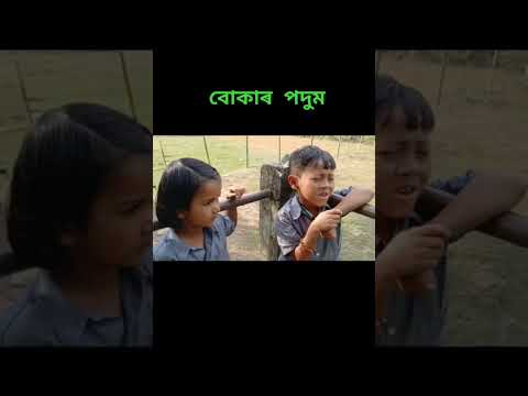 বোকাৰ পদুম #viralboy #viralsong #viralvideo #trendingshorts #viralshorts #shortsvideo #assamessong