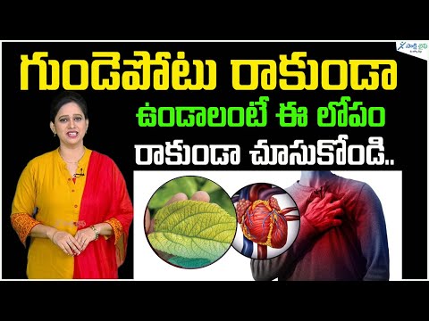 Magnesium and Cardiovascular Disease | Magnesium Rich Foods | Health Tips | Sakshi Life