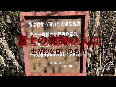 富士の樹海、青木ヶ原樹海の散策