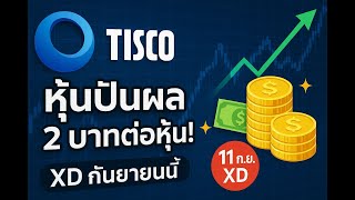 TISCO หุ้นปันผล 2 บาทต่อหุ้น! XD กันยายนนี้ | เจาะลึกธุรกิจ & เหมาะกับใคร