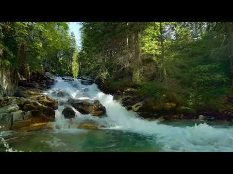 Piano Solo Soothing Music Relaxing Piano Music @misoothingrelaxation1960