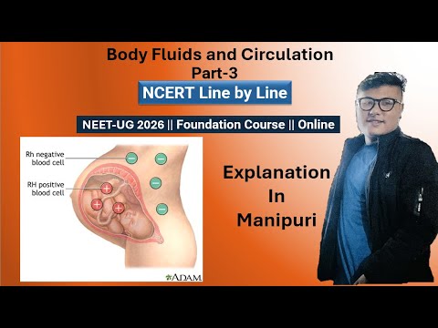 Body Fluid and  Circulation || Part- 3 || NEET UG Foundation #ncert #neet #latestnews