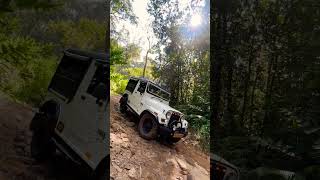 Jeep Trucking adventure Munnar/#explore #munnar #bikeride #offroad4x4 #nature #travel #travel #robin