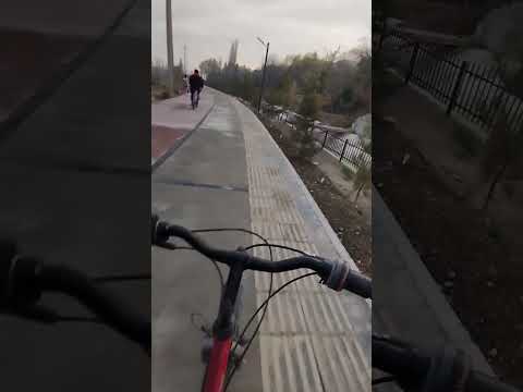 #giopika #kasansay #artemis_faull #shorts #yuotubeshorts #kottabolla