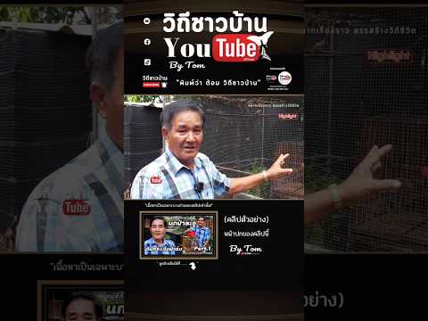 นกป่าละอูแท้❗️| มนูญ จันทร์แจ้งฟาร์ม