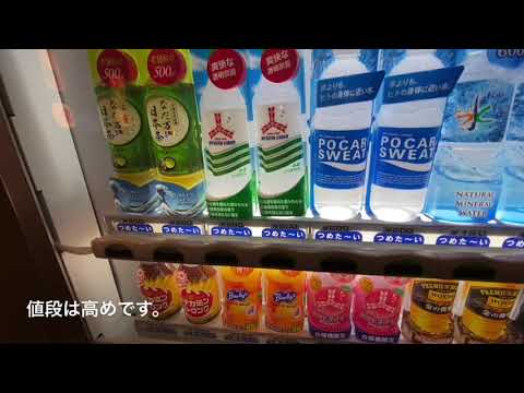 伊豆下田の旅館「季一遊」に泊まってきました。