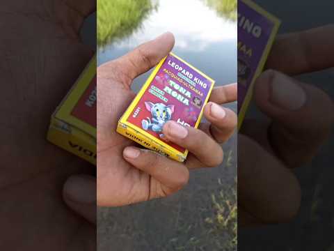 Best Diwali fireworks testing 2025 #shorts #diwali #diwali2025 #viral #fireworks #crackers