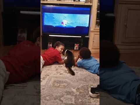 River watching Garfield