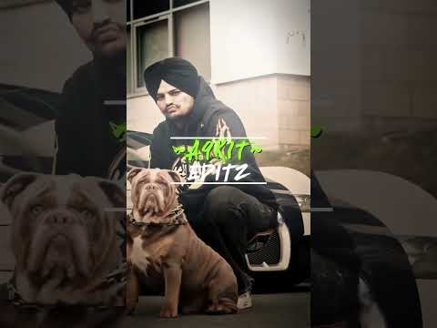 Badmashi X Sidhu Moosewala Edit | Sidhu Slowed Reverb Status | Sidhu Moosewala Status #shorts