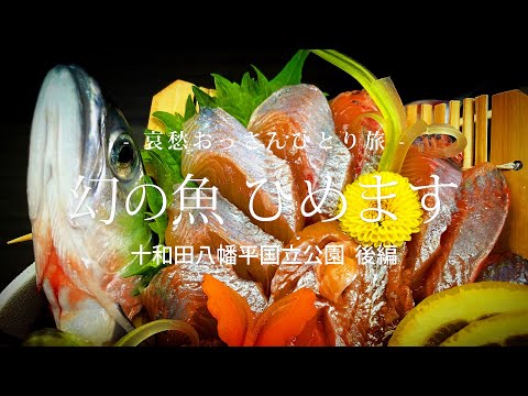 【青森 十和田八甲田】幻の魚ひめます - 十和田八幡平国立公園 後編 -｜哀愁おっさんひとり旅 Vol.82