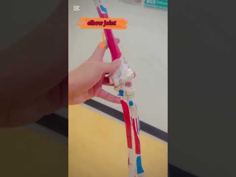 anatomy of the upper Limbs #3d #anatomy #medicosphere #viral #shorts #physiology #medical #medicos